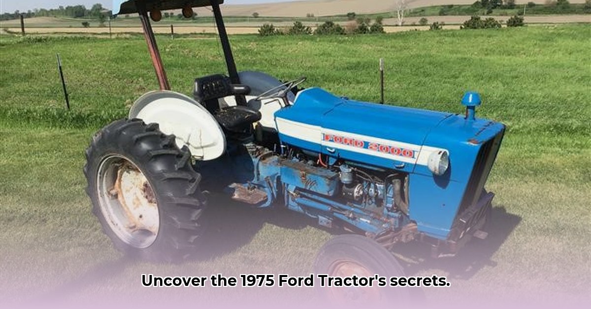 1975-ford-tractor